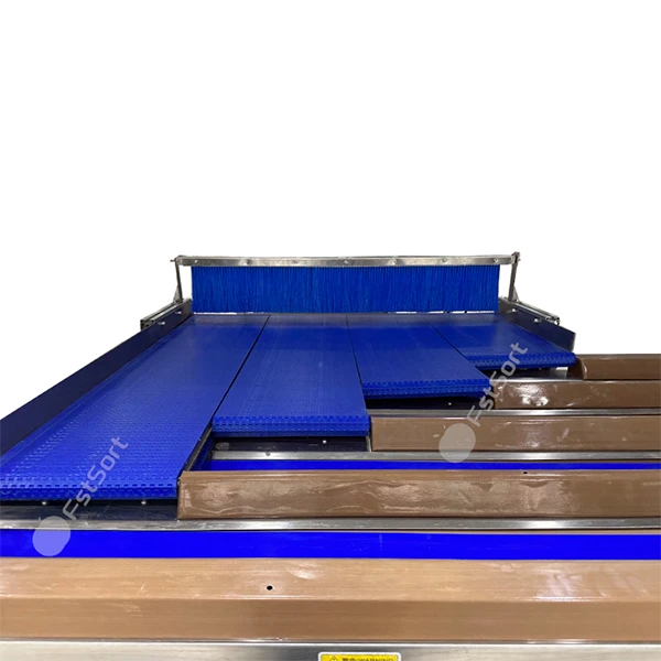 fruit conveyor
