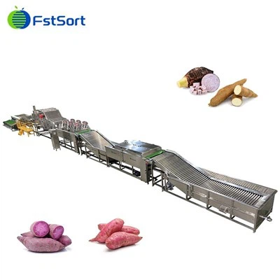 全自動さつまいも洗浄・乾燥・洗浄加工選別機